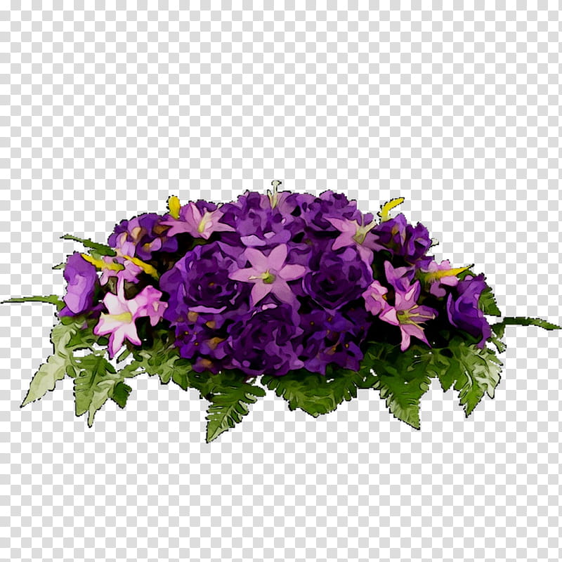 Floral Flower, Vervain, Annual Plant, Primrose, Floral Design, Violet, Plants, Purple transparent background PNG clipart