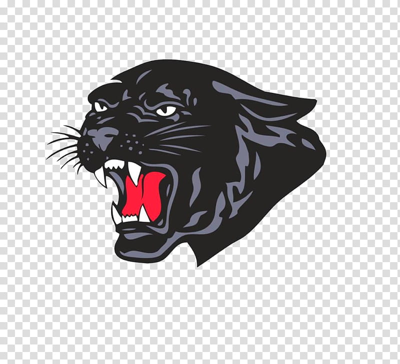 Lion Logo, Saucon Valley Senior High School, Bethlehem Catholic High School, Hellertown, School
, Hudl, Organization, Alumni Association transparent background PNG clipart