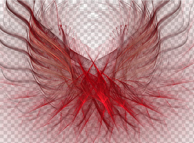 wings, red feather illustration transparent background PNG clipart