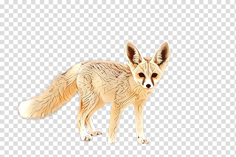 fennec fox fox swift fox jackal wildlife, RED Fox, Kit Fox, Fur, Fawn, Tail transparent background PNG clipart