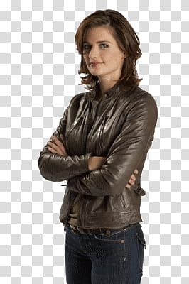 Stana Katic transparent background PNG clipart