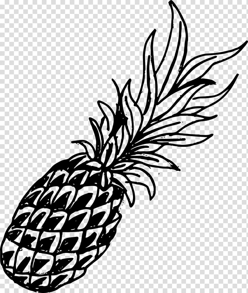 Family Tree, Drawing, Watercolor Painting, Pineapple, Pencil, Crayon, Fruit, Ananas transparent background PNG clipart