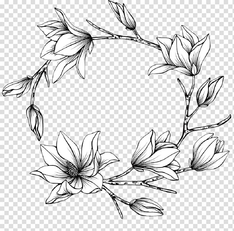 Black And White Flower, Drawing, Line Art, Floral Design, Black And White
, Painting, Magnolia, Leaf transparent background PNG clipart
