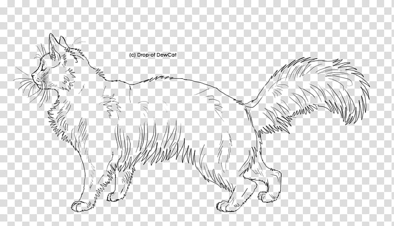 FREE cat line art, cat illustration transparent background PNG clipart