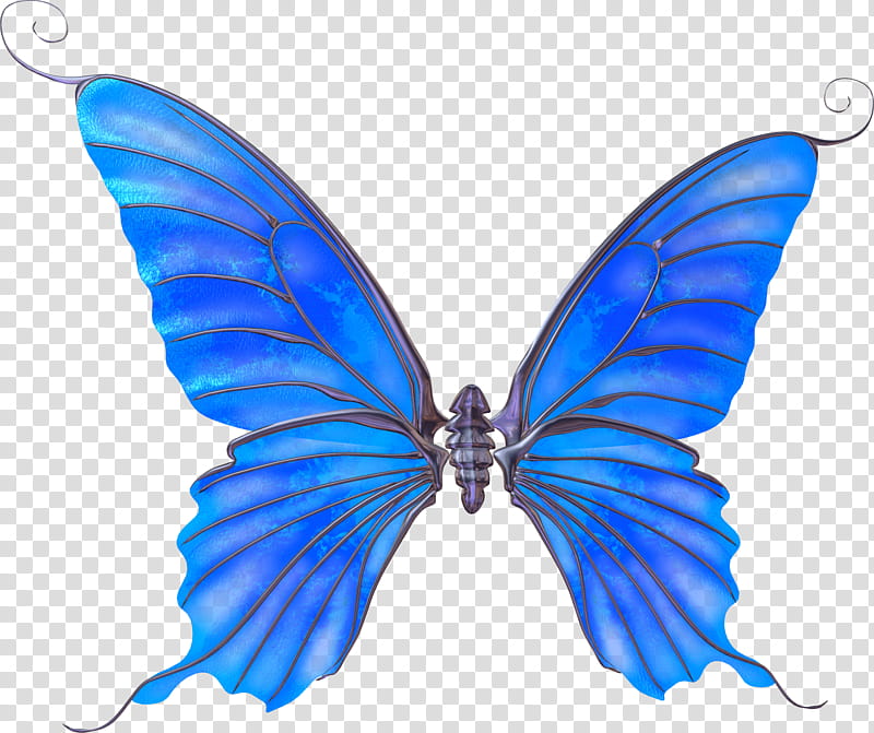Recursos de ChiHoon y Shin Yeong, Ulysses butterfly transparent background PNG clipart