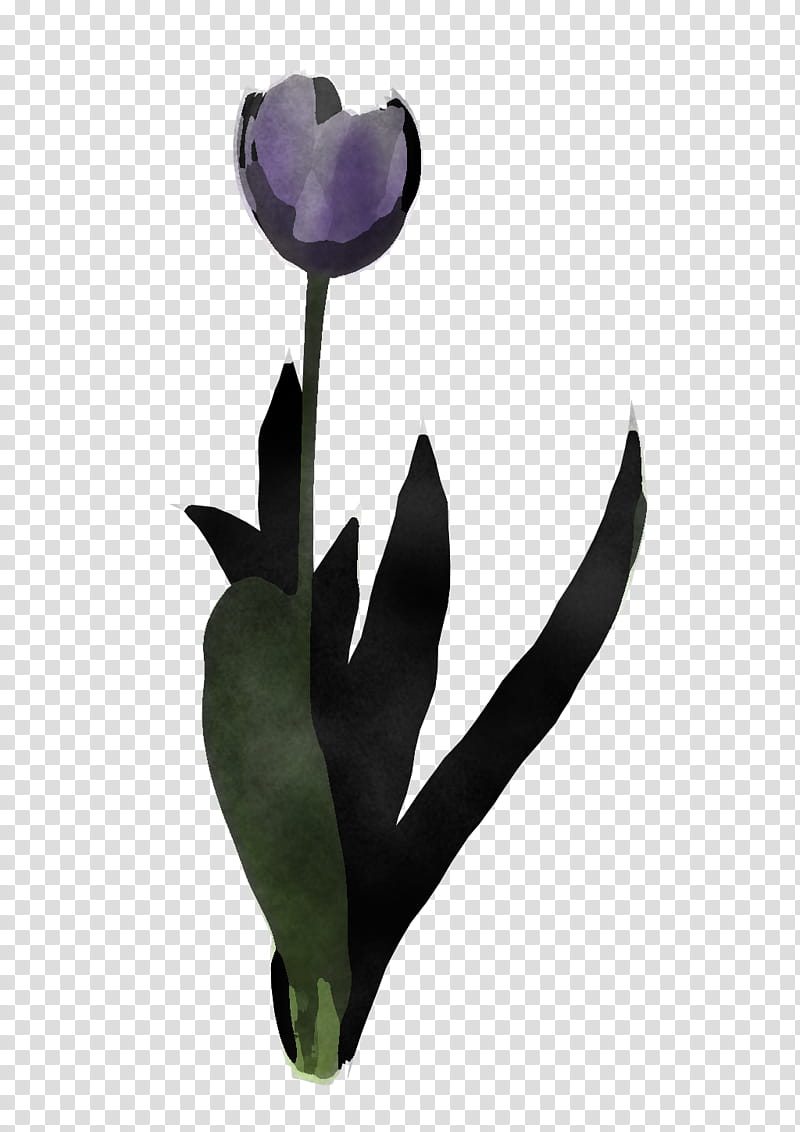 flower tulip purple violet plant, Petal, Iris, Lily Family, Cut Flowers, Bud, Pedicel transparent background PNG clipart