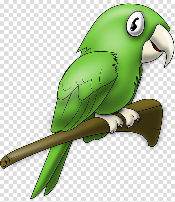 Bird Parrot, Gora, Narrative, Hindi, Film, Video, Music, Video Art transparent background PNG clipart