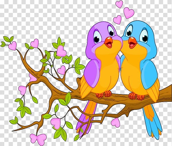 Love Bird, Lovebird, Parrot, Drawing, Bird Nest, Document, Branch, Cartoon transparent background PNG clipart