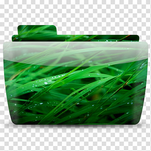 Colorflow   sa Misc, green grass transparent background PNG clipart