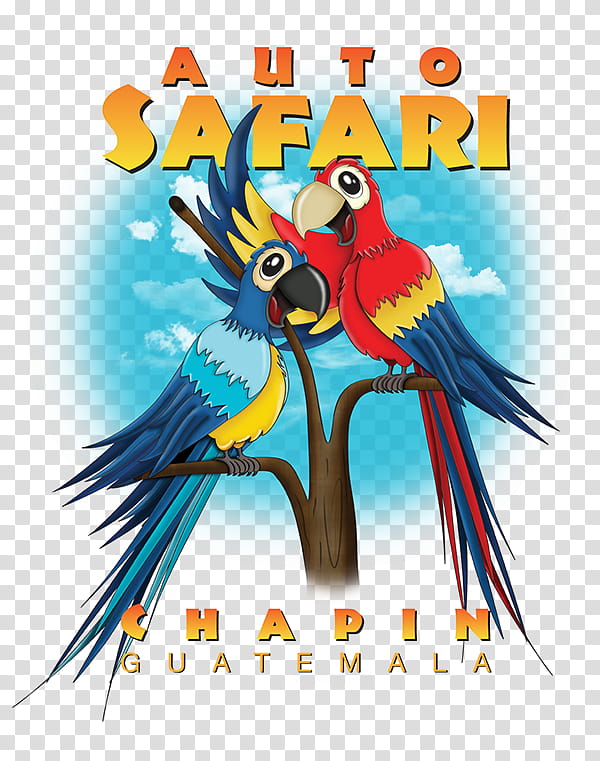 Bird Parrot, Macaw, Beak, Feather, Wing, Bird Supply transparent background PNG clipart