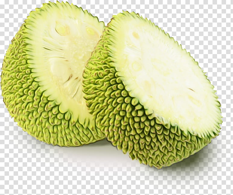 Fruit, Jackfruit, Food, Cempedak, Durian, Tropical Fruit, Breadfruit, Flavor transparent background PNG clipart