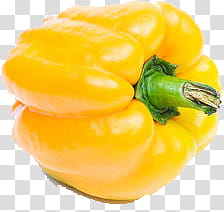 yellow bell pepper transparent background PNG clipart