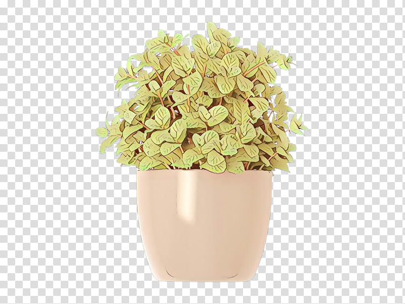Flowers, Cut Flowers, Flowerpot, Hydrangeaceae, Plant, Vase, Cornales, Beige transparent background PNG clipart