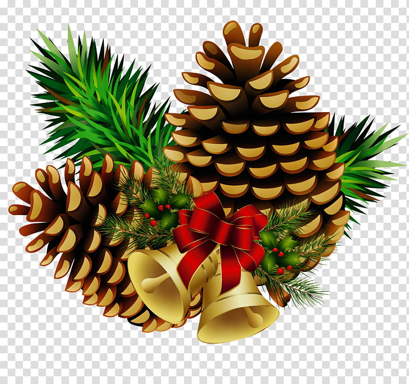 Pineapple, Watercolor, Paint, Wet Ink, Sugar Pine, Oregon Pine, Conifer Cone, Tree transparent background PNG clipart