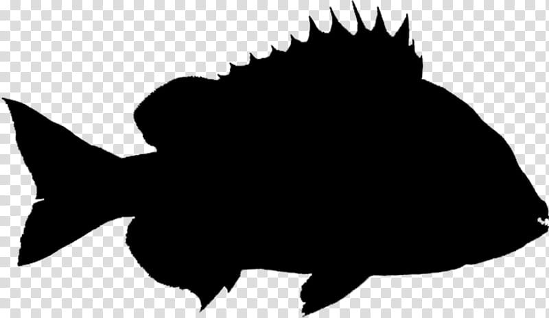 Fish, Common Carp, Silhouette, Drawing, Chinook Salmon, Flatfish, Blackandwhite transparent background PNG clipart