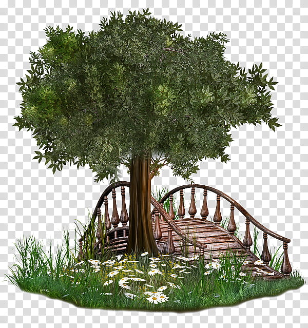 Green Grass, Fairy Tale, Tree, Blog, Drawing, Fantasy, Visual Arts, Ash transparent background PNG clipart