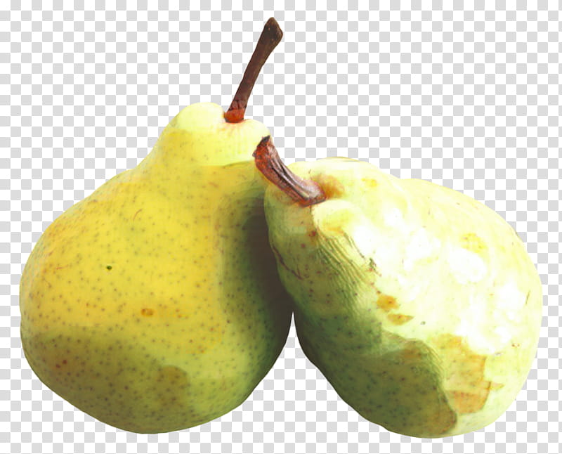 Woody, Pear, Citron, Yuzu, Fahrenheit, Fruit, Tree, Food transparent background PNG clipart