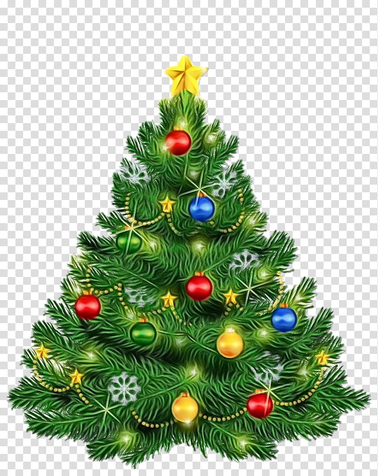 Christmas tree, Watercolor, Paint, Wet Ink, Christmas Decoration, Colorado Spruce, Oregon Pine, Christmas Ornament transparent background PNG clipart Christmas tree, Watercolor, Paint, Wet Ink, Christmas Decoration, Colorado Spruce, Oregon Pine, Christmas Ornament transparent background PNG clipart