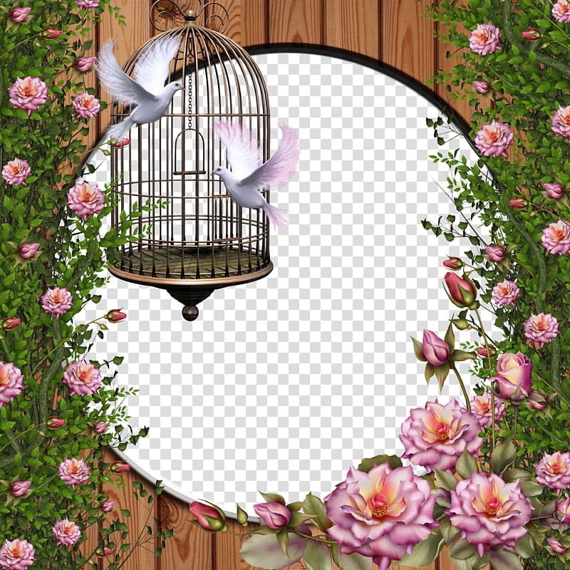 Free , white pigeons, pink flowers, and birdcage graphic transparent background PNG clipart