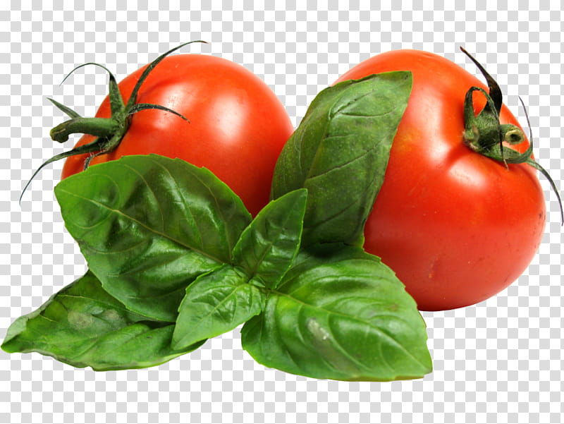 Flower Bush, Tomato Soup, Cherry Tomato, Vegetarian Cuisine, Pear Tomato, Vegetable, Salad, Grape Tomato transparent background PNG clipart