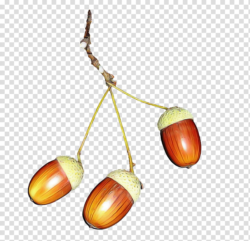 chestnut tree nut plant transparent background PNG clipart