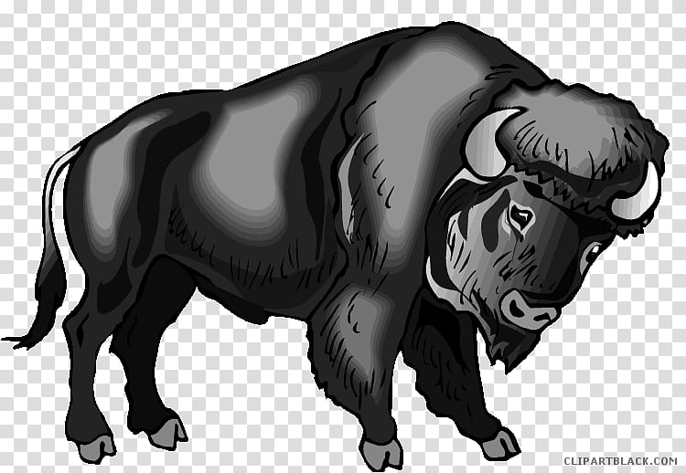 Dog And Cat, Water Buffalo, Mount Carroll, Drawing, Tamaraw, Bubalus, Black, Black And White transparent background PNG clipart