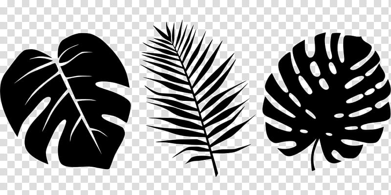 Palm Leaf, Palm Trees, Tropics, Plants, , Computer Icons, Tropical Cyclone, Leaf Jungle transparent background PNG clipart