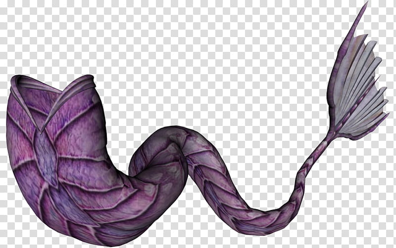 purple mer tails, pink fish illustration transparent background PNG clipart