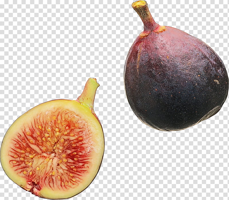 common fig fruit natural foods plant food, Watercolor, Paint, Wet Ink, Accessory Fruit, Superfood transparent background PNG clipart
