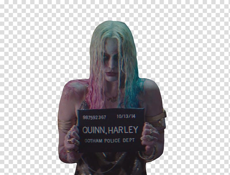 Harley Quinn mugshot transparent background PNG clipart