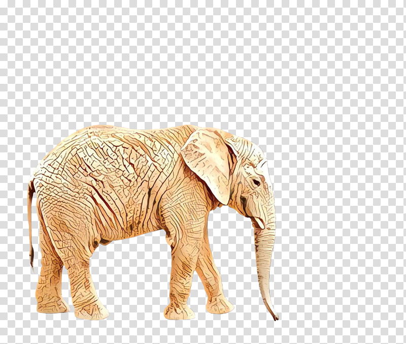 Elephant, Indian Elephant, African Elephant, Rhinoceros, Northern Giraffe, Animal, Wildlife, Elephants transparent background PNG clipart