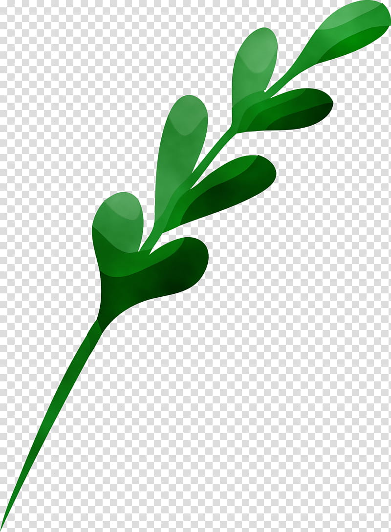 green leaf plant flower pedicel, Christmas Ornament, Watercolor, Paint, Wet Ink, Plant Stem, Grass transparent background PNG clipart