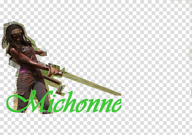 Michonne transparent background PNG clipart