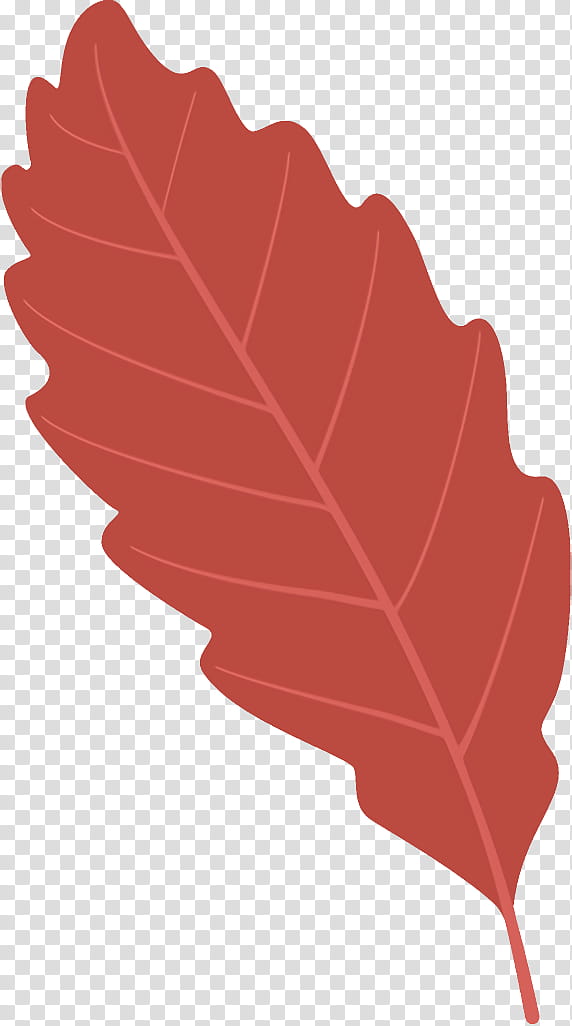 autumn leaf fallen leaf dead leaf, Red, Tree, Plant, Line, Deciduous, Flower, Plane transparent background PNG clipart