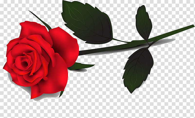 single red rose clip art