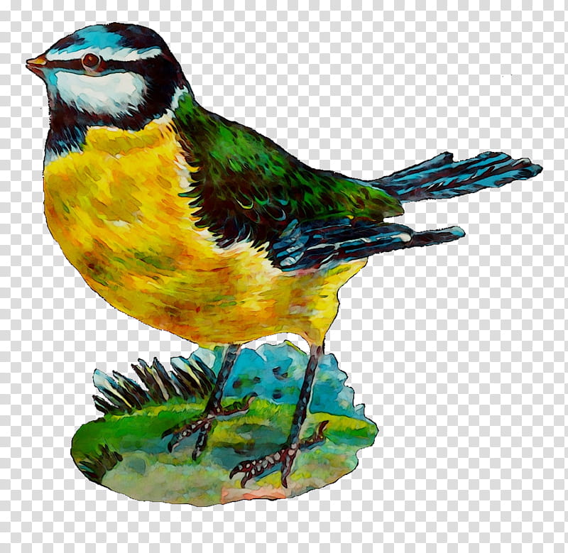 Cartoon Bird, Finches, Beak, Feather, Yellow, Songbird, Perching Bird, Chickadee transparent background PNG clipart