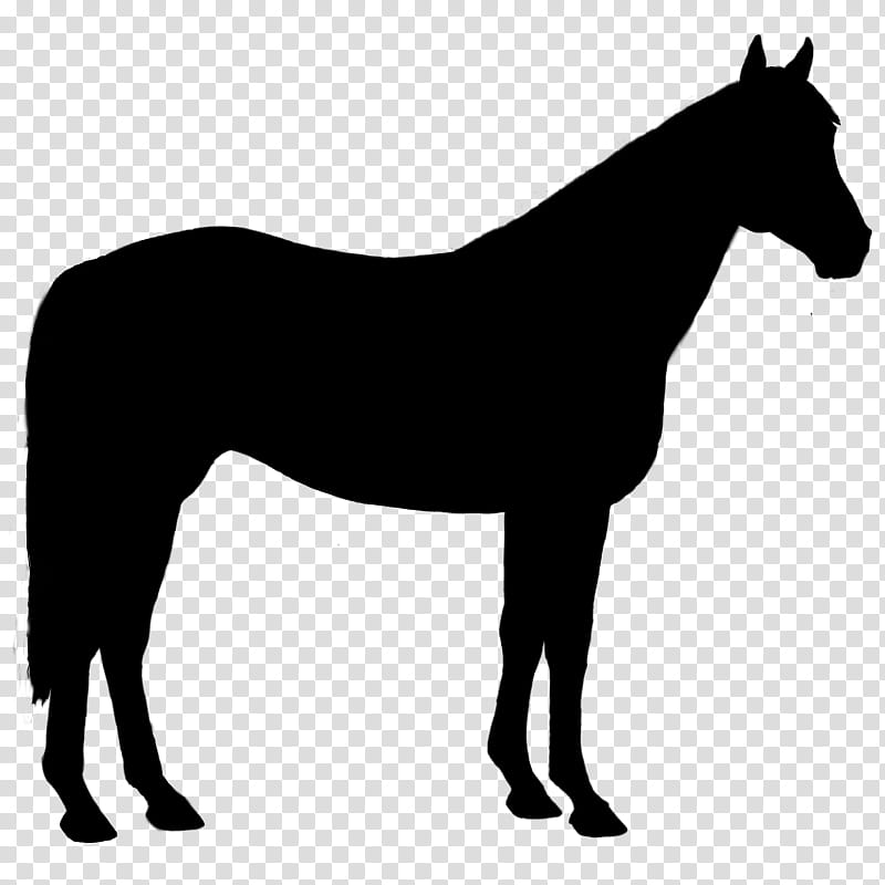 Dog Silhouette, Rhodesian Ridgeback, Drawing, Horse, Mane, Mare, Animal Figure, Line Art transparent background PNG clipart