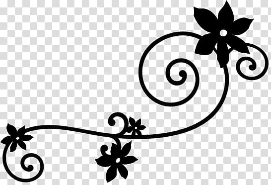 Flowers , black and white abstract painting transparent background PNG clipart