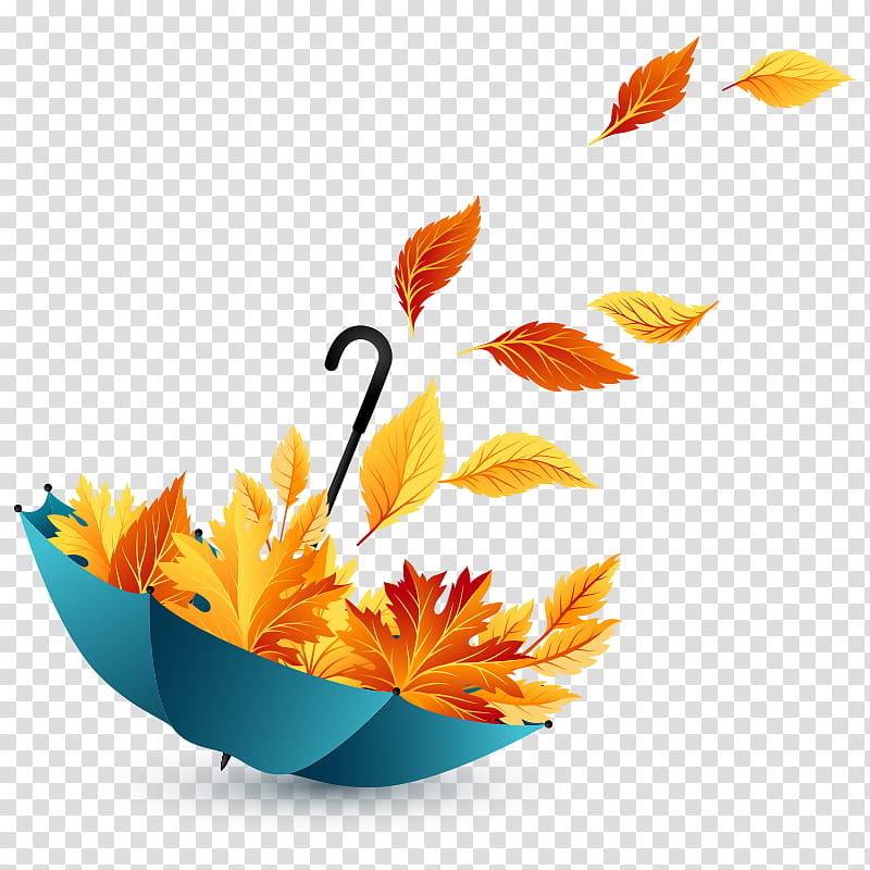 Bird Of Paradise, Autumn, Umbrella, Leaf, Poster, Blue, Orange, Plant transparent background PNG clipart
