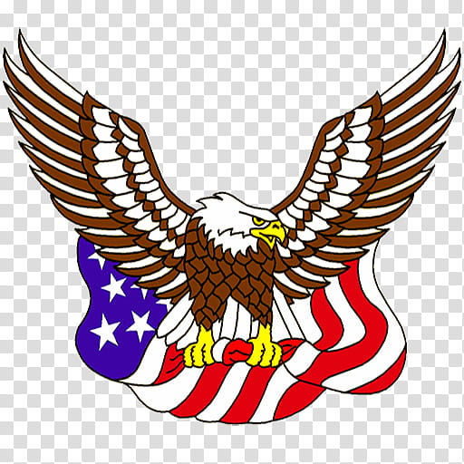 Eagle Logo, United States Of America, Bald Eagle, Flag Of The United States, Great Seal Of The United States, FLAG OF MEXICO, Drawing, Beak transparent background PNG clipart