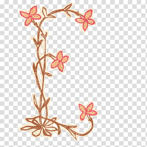 BEV Floral Typography FREE, brown and red petaled flower illustration transparent background PNG clipart