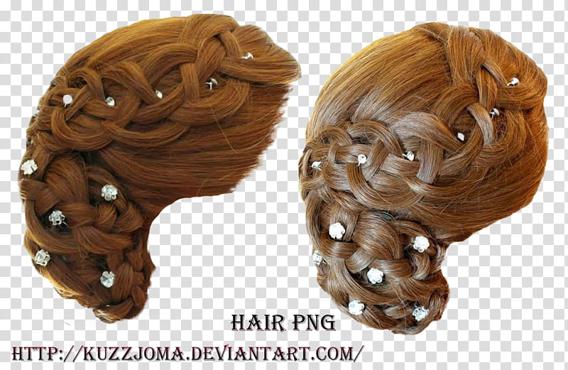 Hair , brown hair illustraion transparent background PNG clipart
