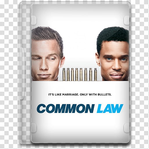 TV Show Icon , Common Law, Common Law disc case transparent background PNG clipart