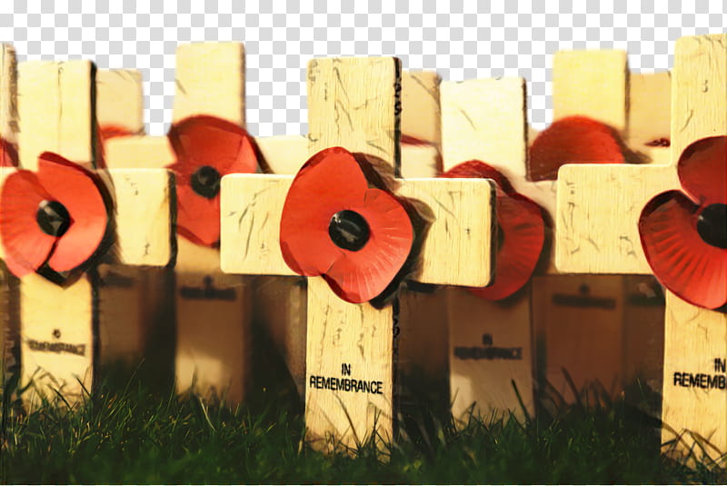 Remembrance Day Poppy, World War I Centenary, Armistice Day, Remembrance Sunday, November 11, Armistice Of 11 November 1918, Member Of Parliament, 2018 transparent background PNG clipart