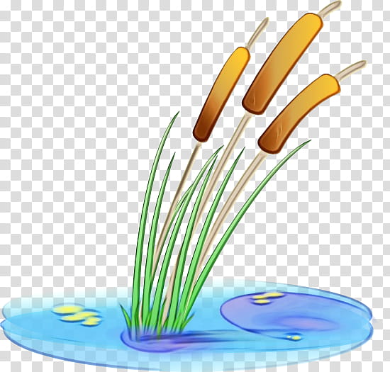 Transparency Cartoon Pond, Watercolor, Paint, Wet Ink, Grass, Plant transparent background PNG clipart