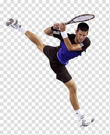 Novak Djokovic cut out  transparent background PNG clipart