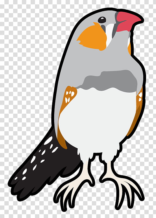 Cartoon Bird, Beak, Peregrine Falcon, Falconiformes transparent background PNG clipart