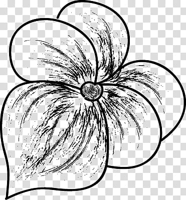 Spring flowers , black and white floral illustration transparent background PNG clipart