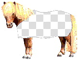 Pony customizable, white and brown horse transparent background PNG clipart