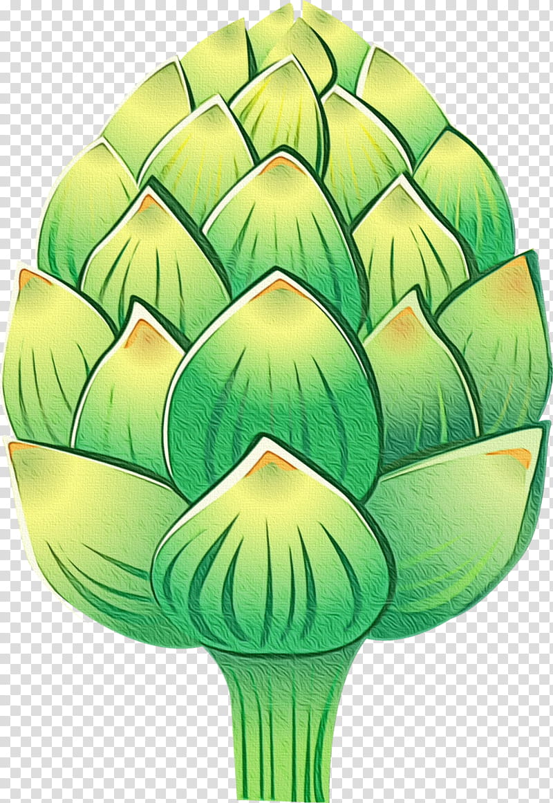 artichoke green cynara leaf plant, Watercolor, Paint, Wet Ink, Tree, Thistle, Vegetable transparent background PNG clipart